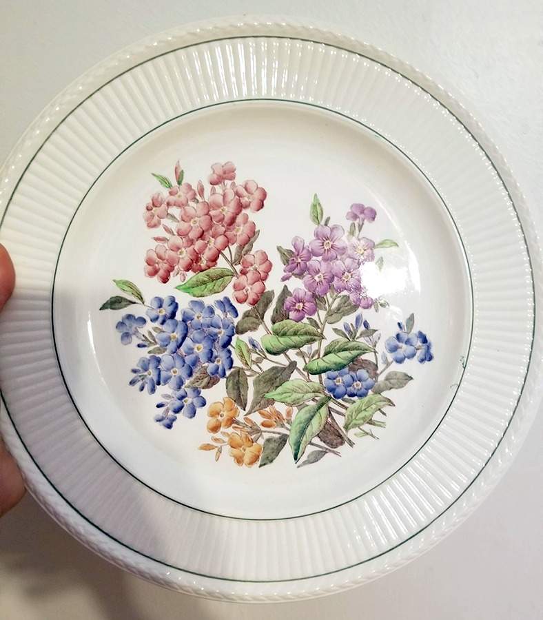 Garden Club Dinner Plate by Wedgwood-1