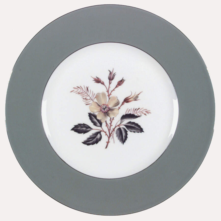 Greenwood (Bone) Dinner Plate by Wedgwood-1