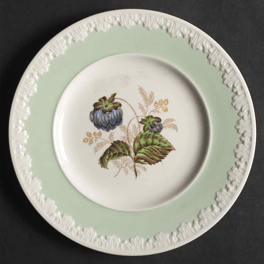 Hampton Court (Green Rim) Bread & Butter Plate by Wedgwood-1