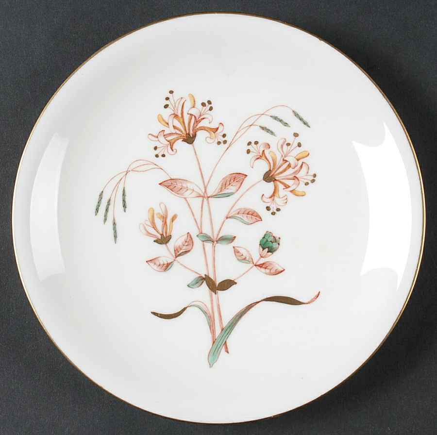 Honeysuckle Rust Bread & Butter Plate by Wedgwood-1