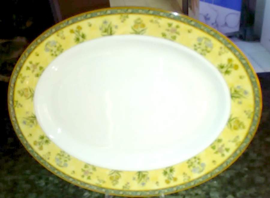 India 17" Oval Serving Platter by Wedgwood-1
