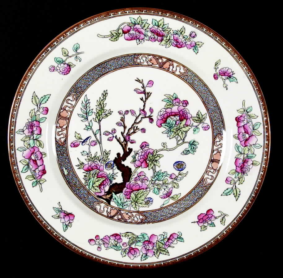 Indian Tree Dinner Plate by Wedgwood-1