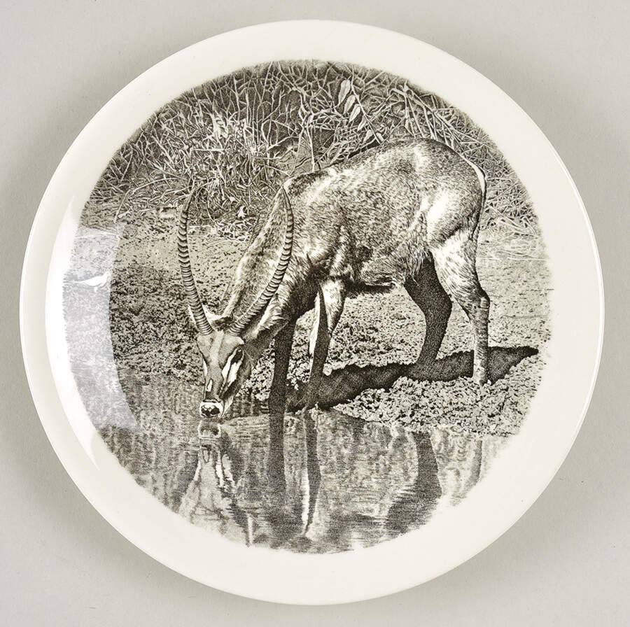 Kruger National Park Kruger Park Stamp Bread & Butter Plate by Wedgwood-1