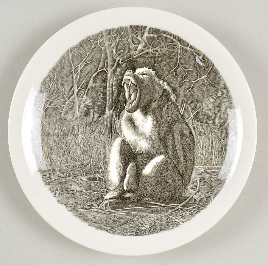 Kruger National Park Kruger Park Stamp Bread & Butter Plate by Wedgwood-1