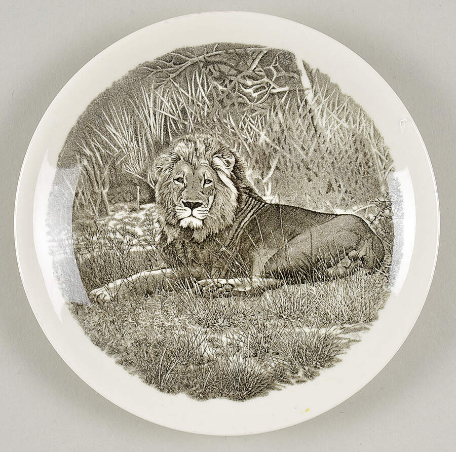 Kruger National Park Kruger Park Stamp Bread & Butter Plate by Wedgwood-1