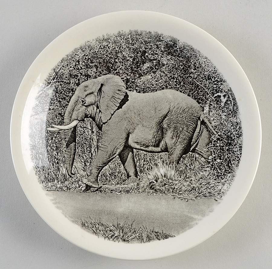 Kruger National Park Kruger Park Stamp Bread & Butter Plate by Wedgwood-1