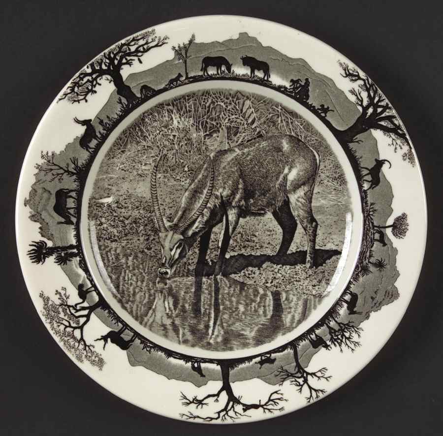 Kruger National Park Kruger Park Stamp Salad Plate by Wedgwood-1
