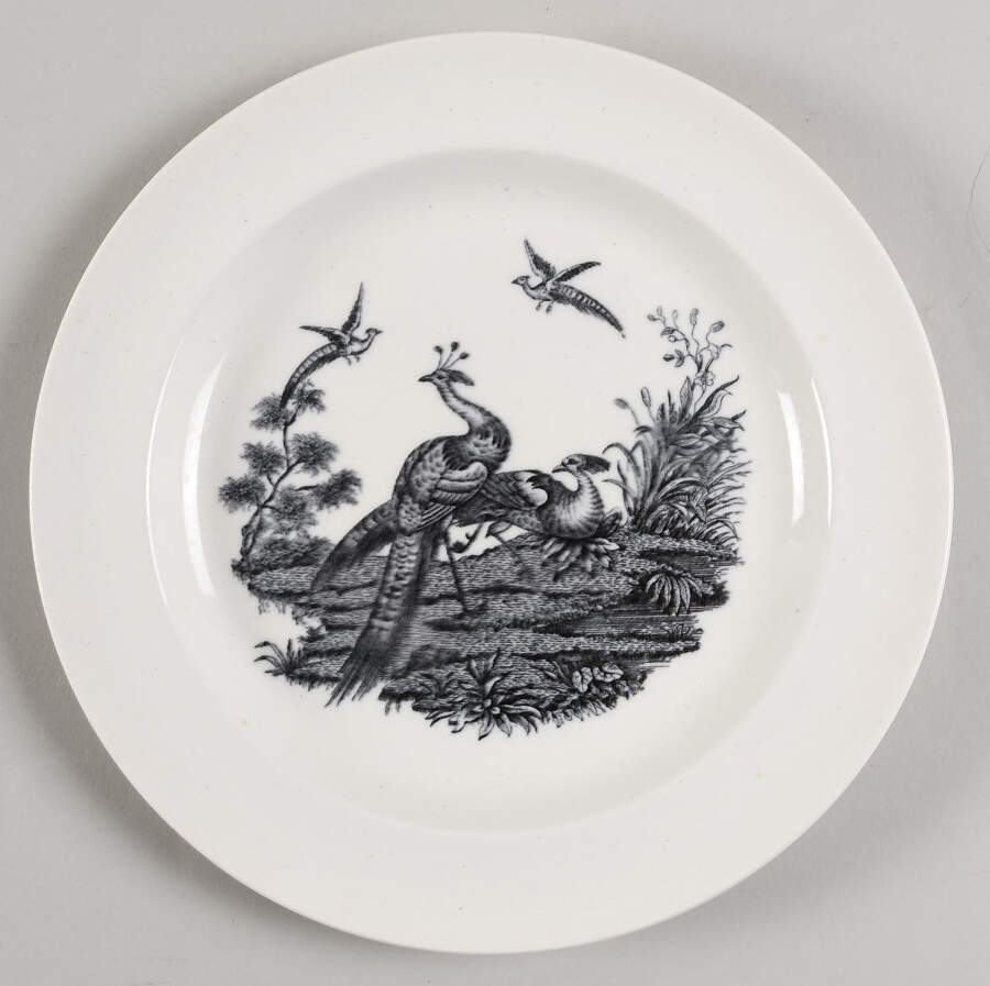 Liverpool Birds Black (No Trim) Salad Plate by Wedgwood-1