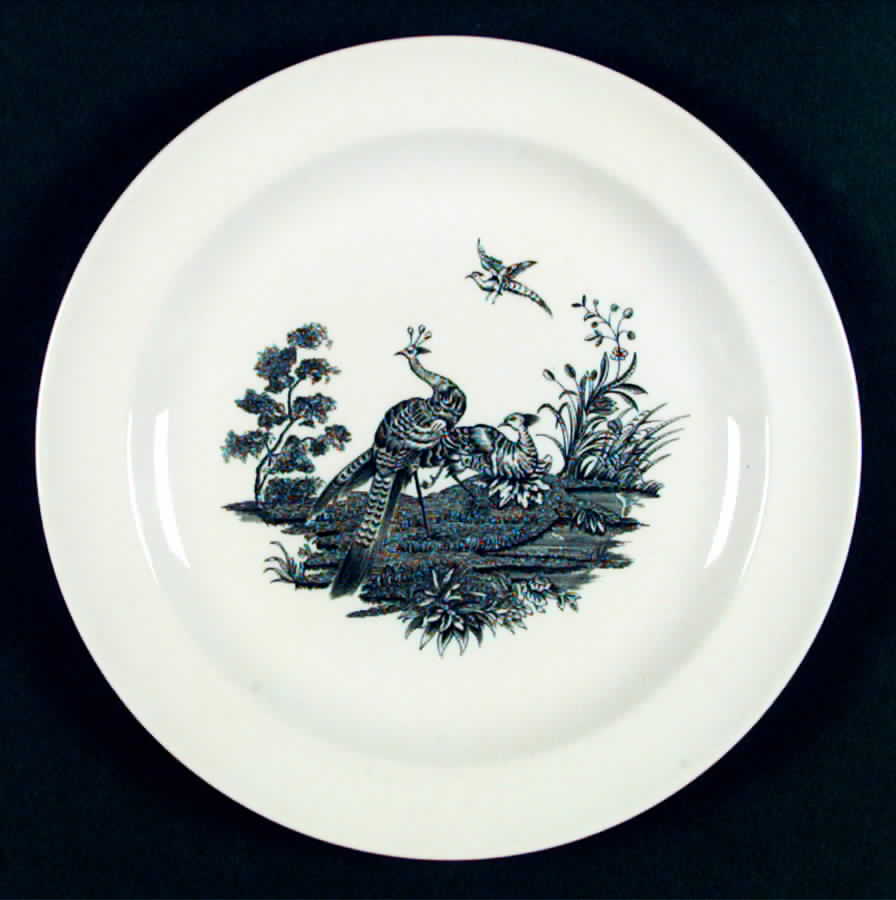 Liverpool Birds Black (No Trim) Luncheon Plate by Wedgwood-1
