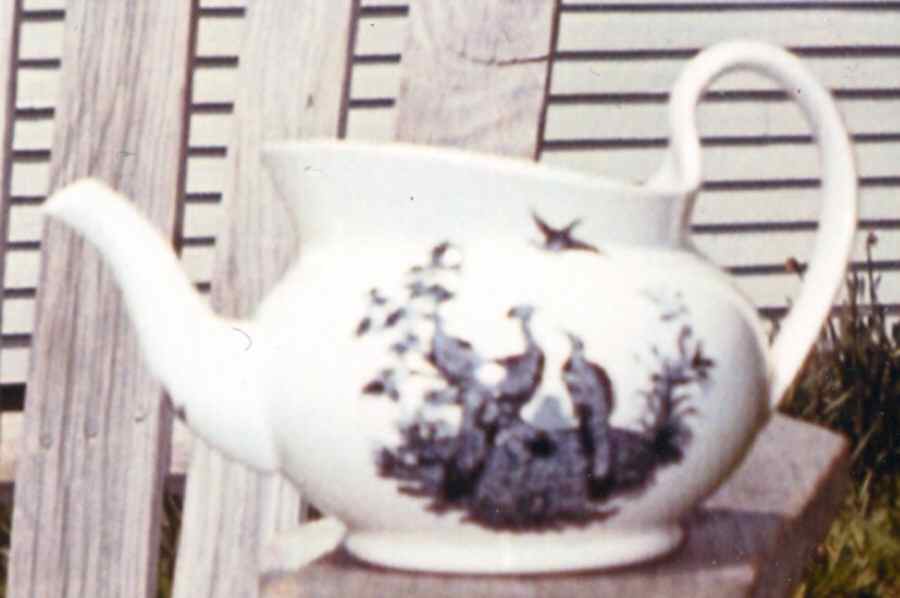 Liverpool Birds Black (No Trim) Teapot No Lid by Wedgwood-1