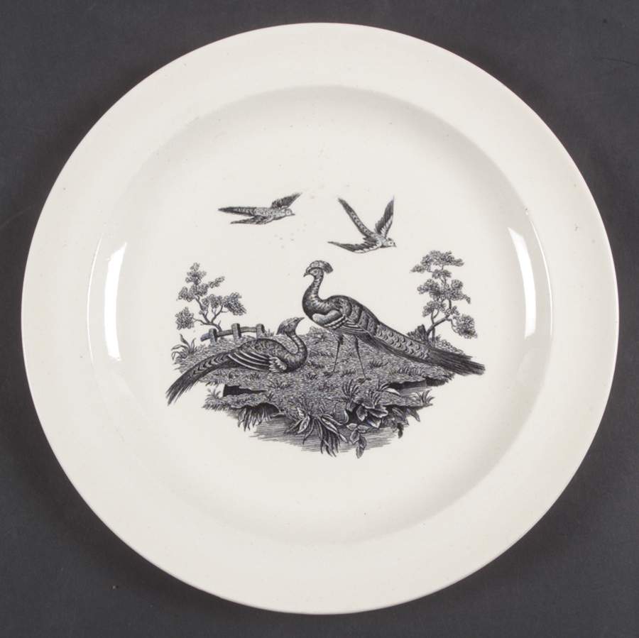 Liverpool Birds Black (No Trim) Luncheon Plate by Wedgwood-1