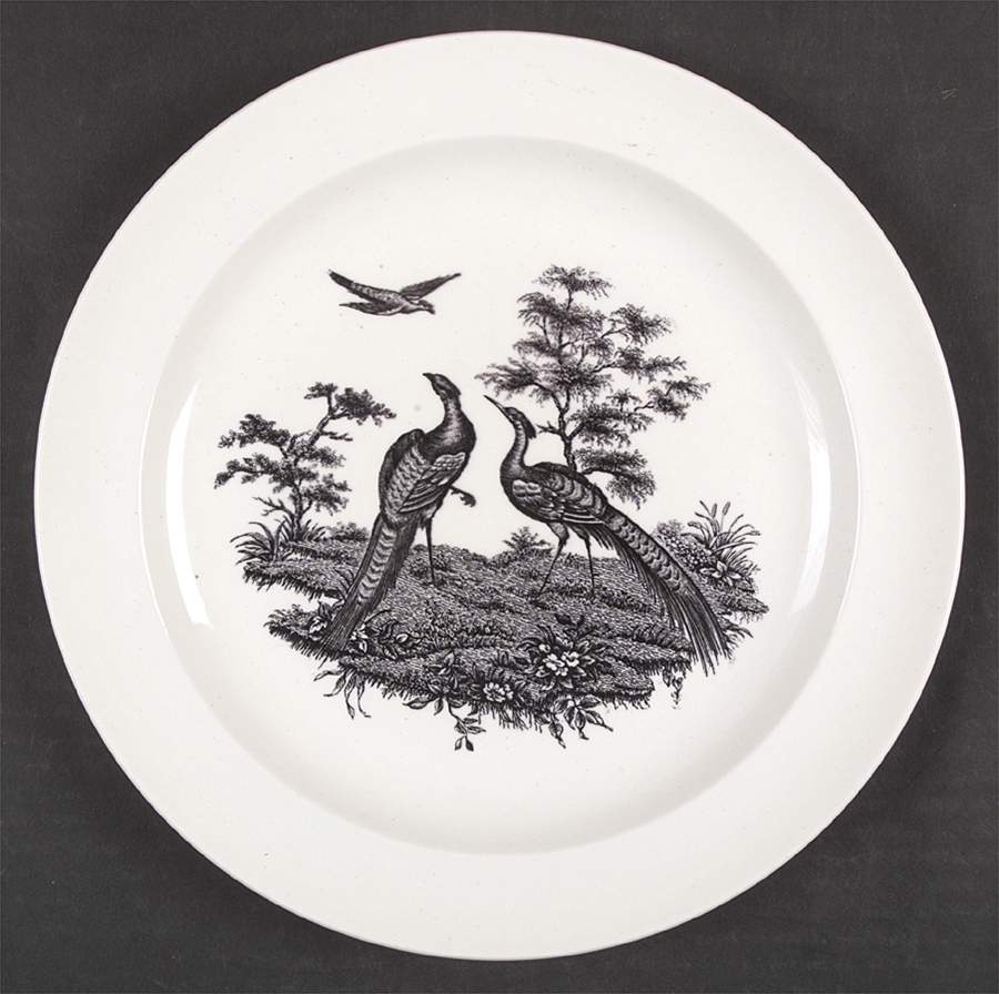Liverpool Birds Black (No Trim) Dinner Plate by Wedgwood-1