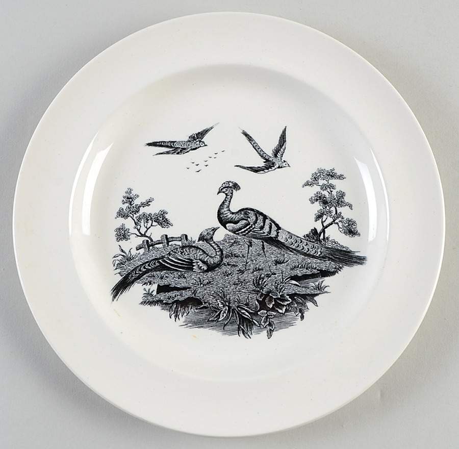 Liverpool Birds Black (No Trim) Salad Plate by Wedgwood-1