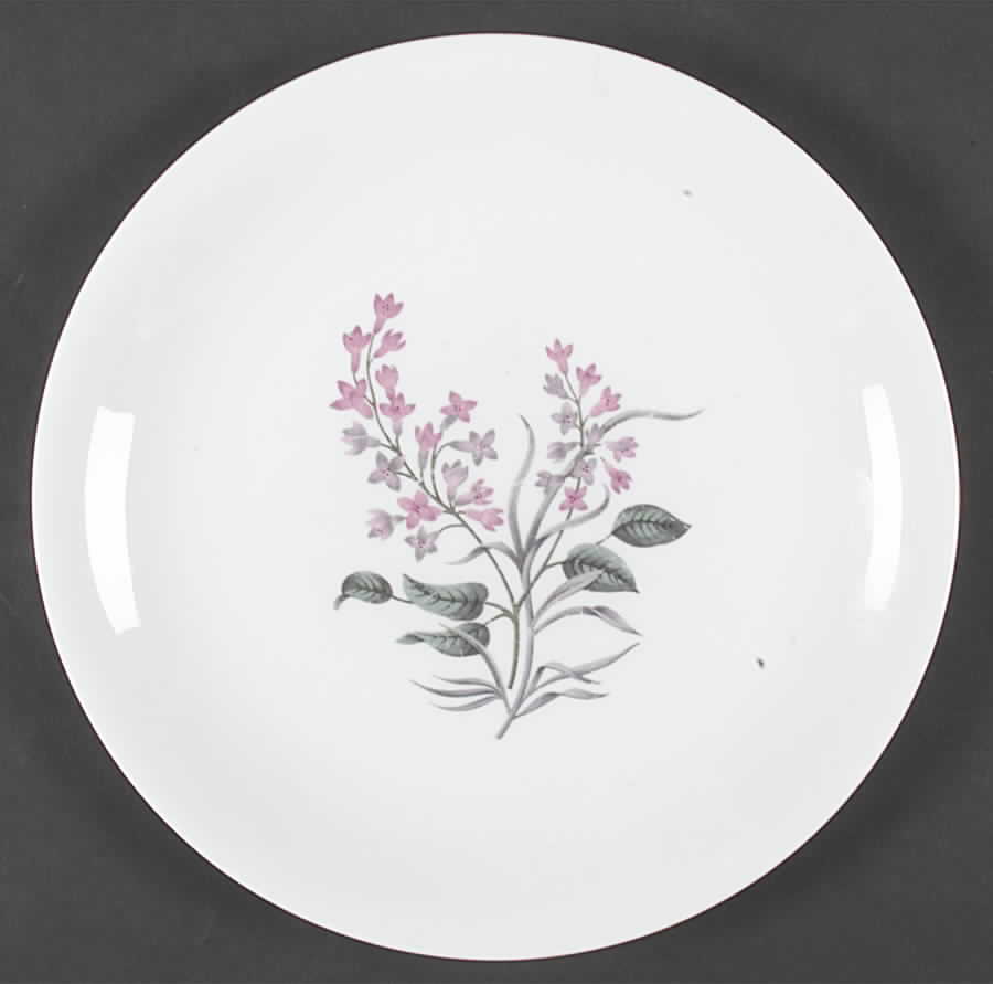 Lilac Dinner Plate by Wedgwood-1