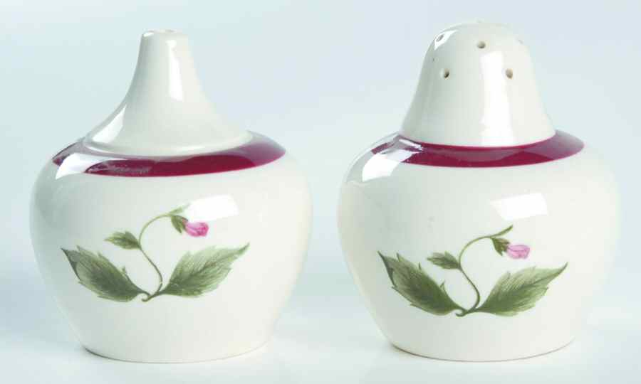 Mayfield Ruby Salt & Pepper Set by Wedgwood-1