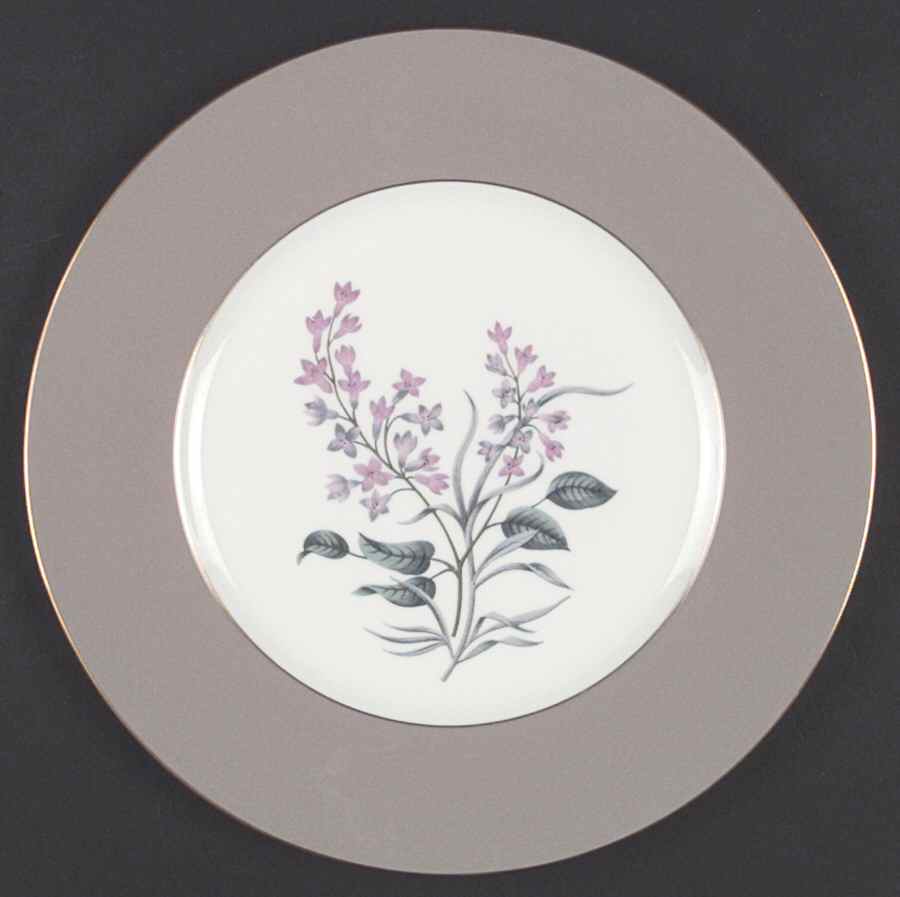 Milford (Bone China) Dinner Plate by Wedgwood-1