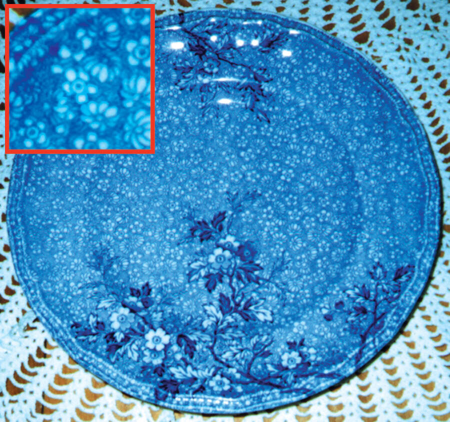 Monique Dinner Plate by Wedgwood-1