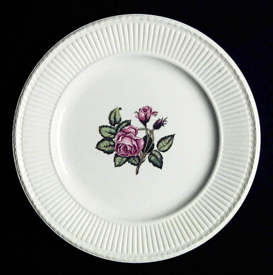Moss Rose (Older, Brown Backstamp) Dinner Plate by Wedgwood-1