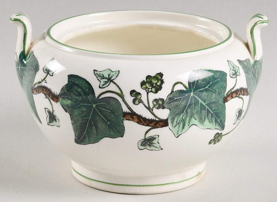 Napoleon Ivy Green (Queen's Ware) Sugar Bowl No Lid by Wedgwood-1
