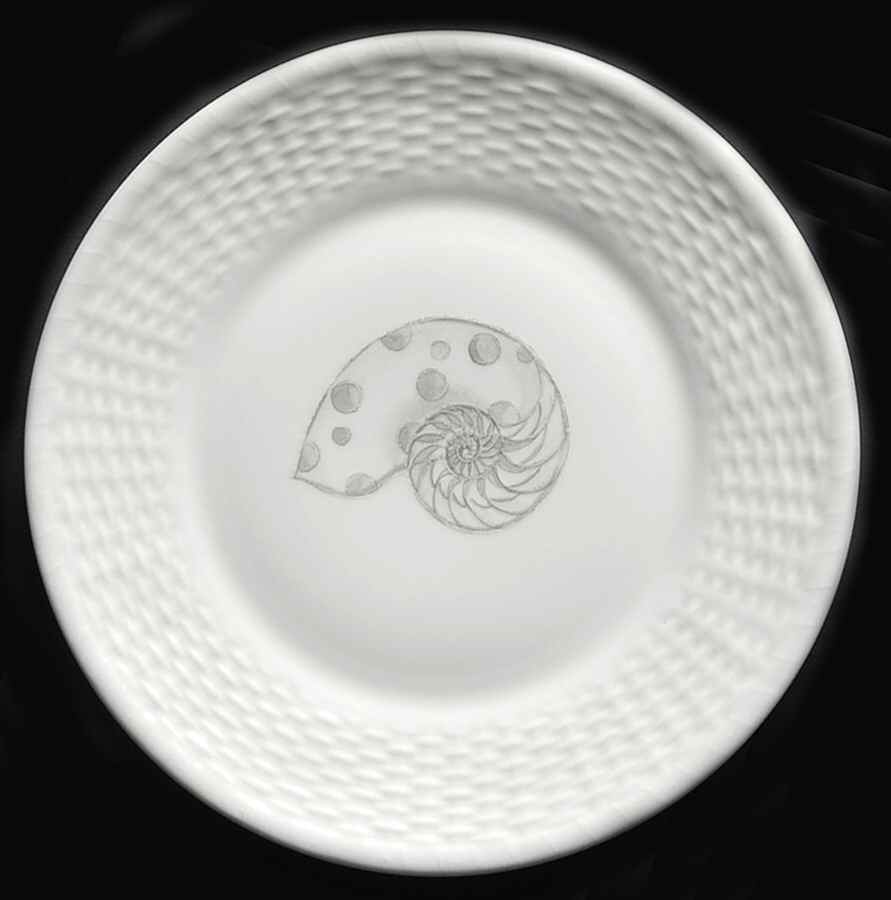 Nantucket Accent Luncheon Plate by Wedgwood-1