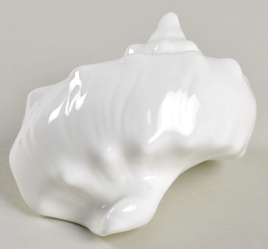 Nautilus (Glossy) Shell by Wedgwood-1