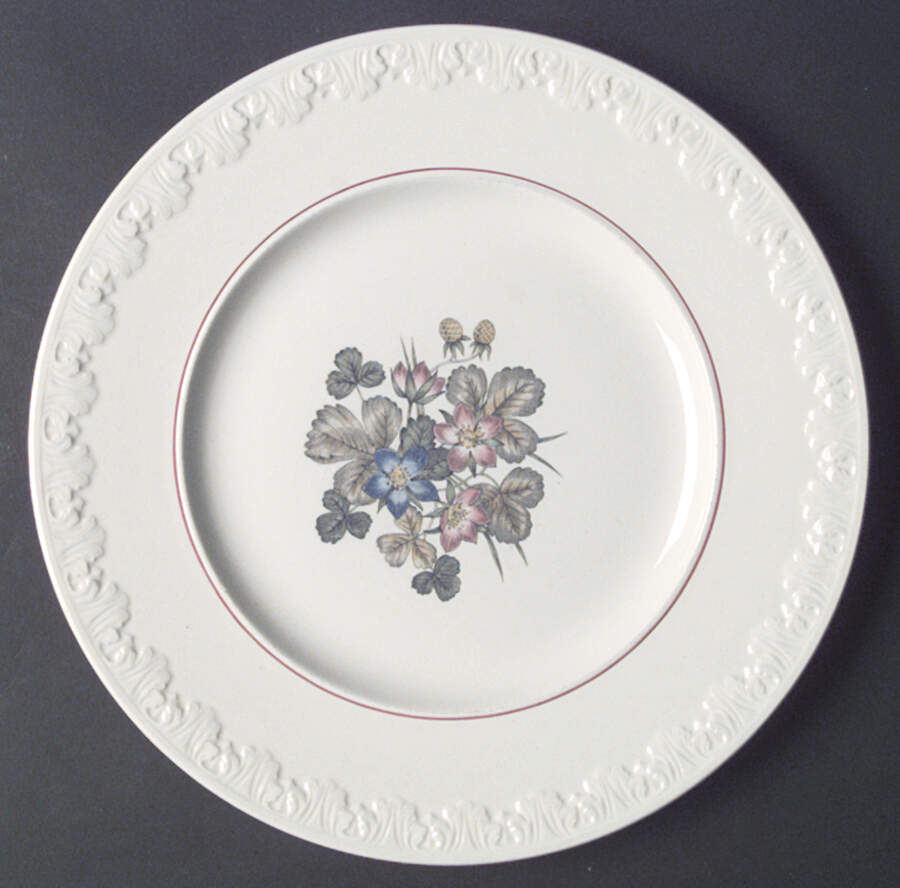 Pembroke Dinner Plate by Wedgwood-1