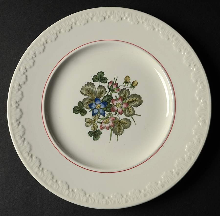 Pembroke Luncheon Plate by Wedgwood-1