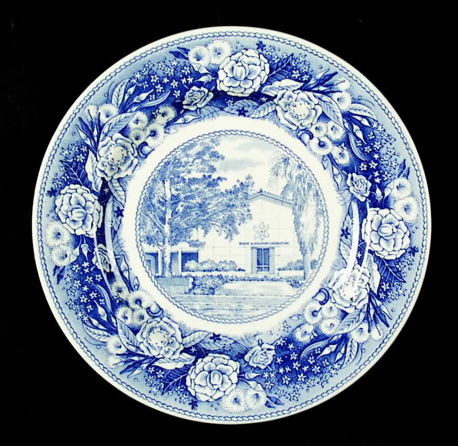 Pomona College Blue Salad Plate by Wedgwood-1