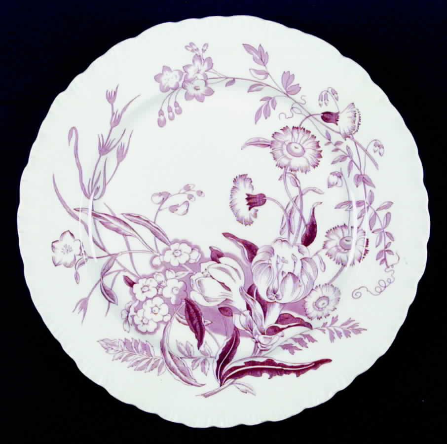 Ranunculus Pink Dinner Plate by Wedgwood-1
