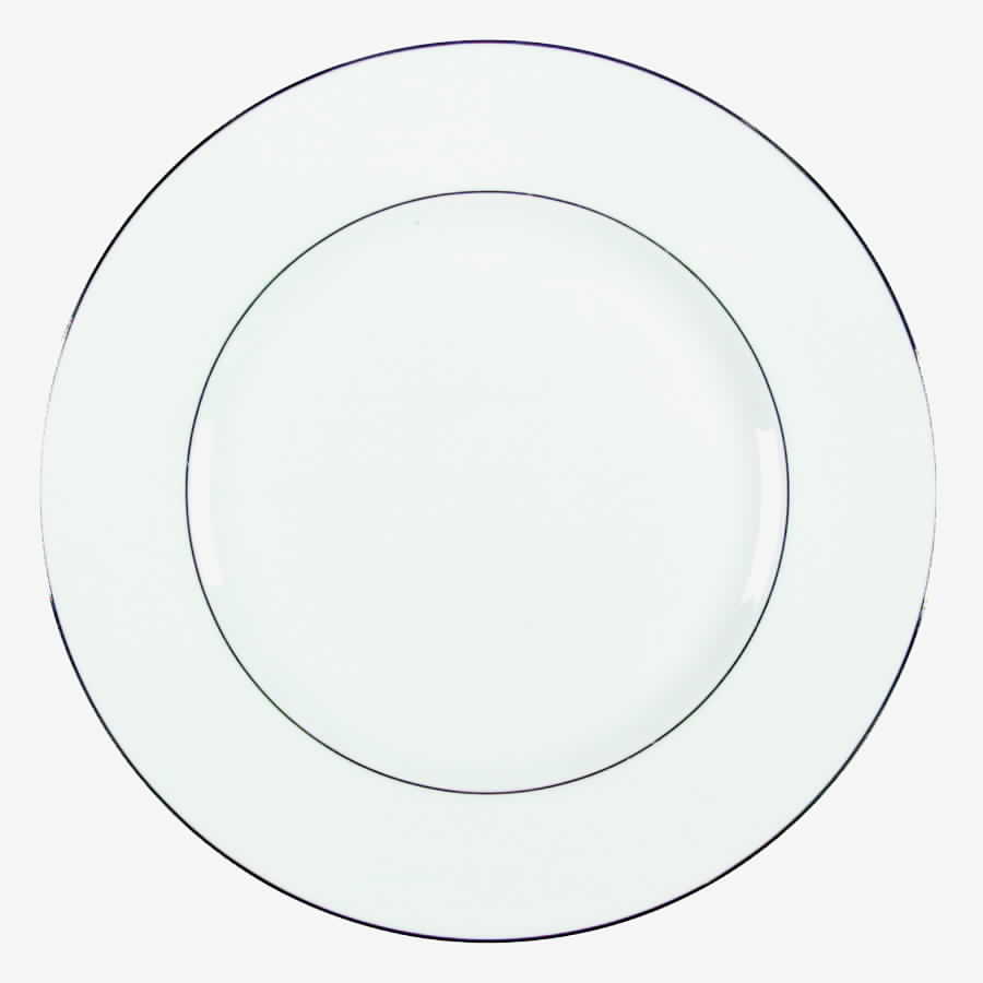 Regal Platinum Dinner Plate by Wedgwood-1