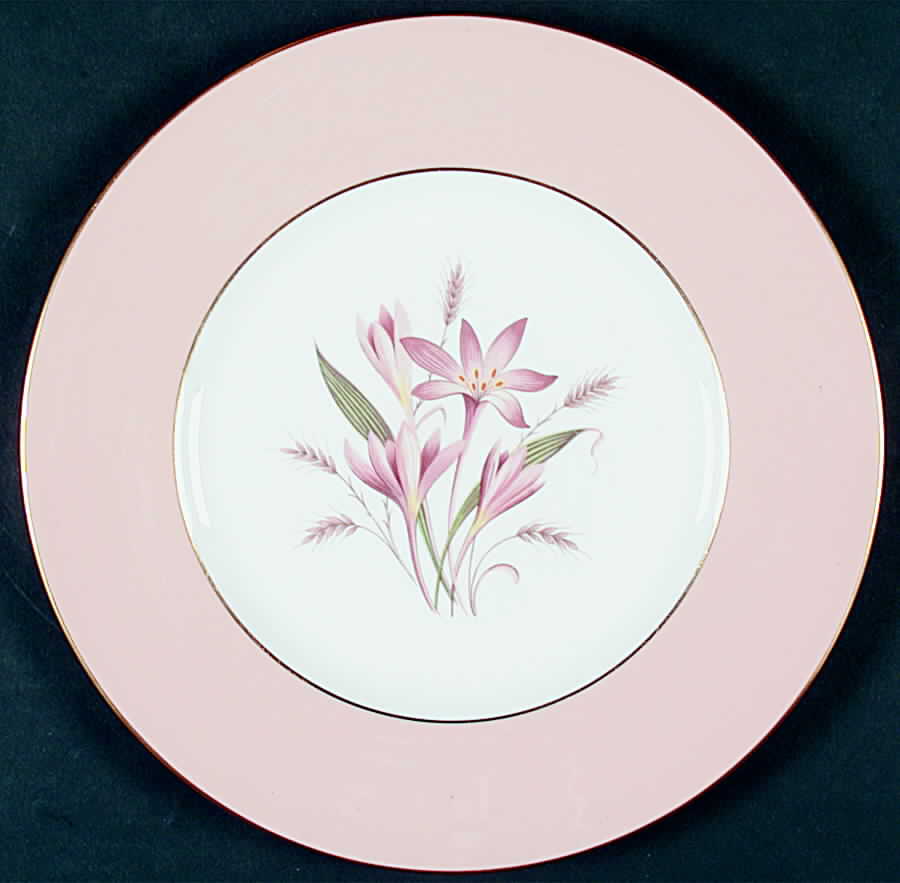Southold Dinner Plate by Wedgwood-1