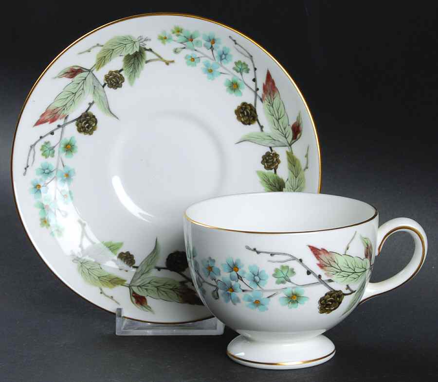 Spring Morning Footed Cup & Saucer Set by Wedgwood-1