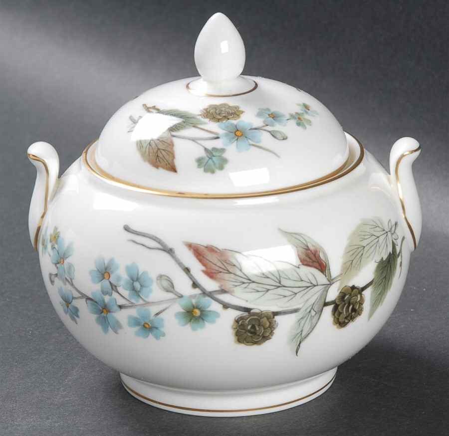 Spring Morning 146 Shape Sugar Bowl No Lid by Wedgwood-1