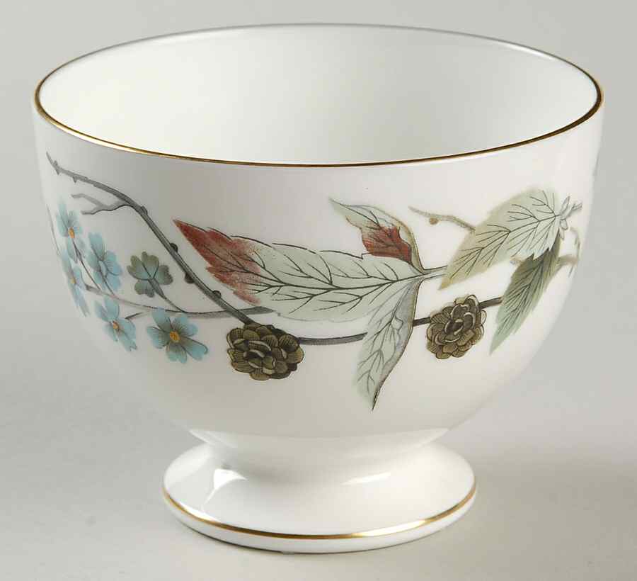 Spring Morning Open Sugar Bowl by Wedgwood-1