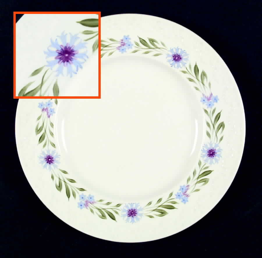 Summertime Salad Plate by Wedgwood-1