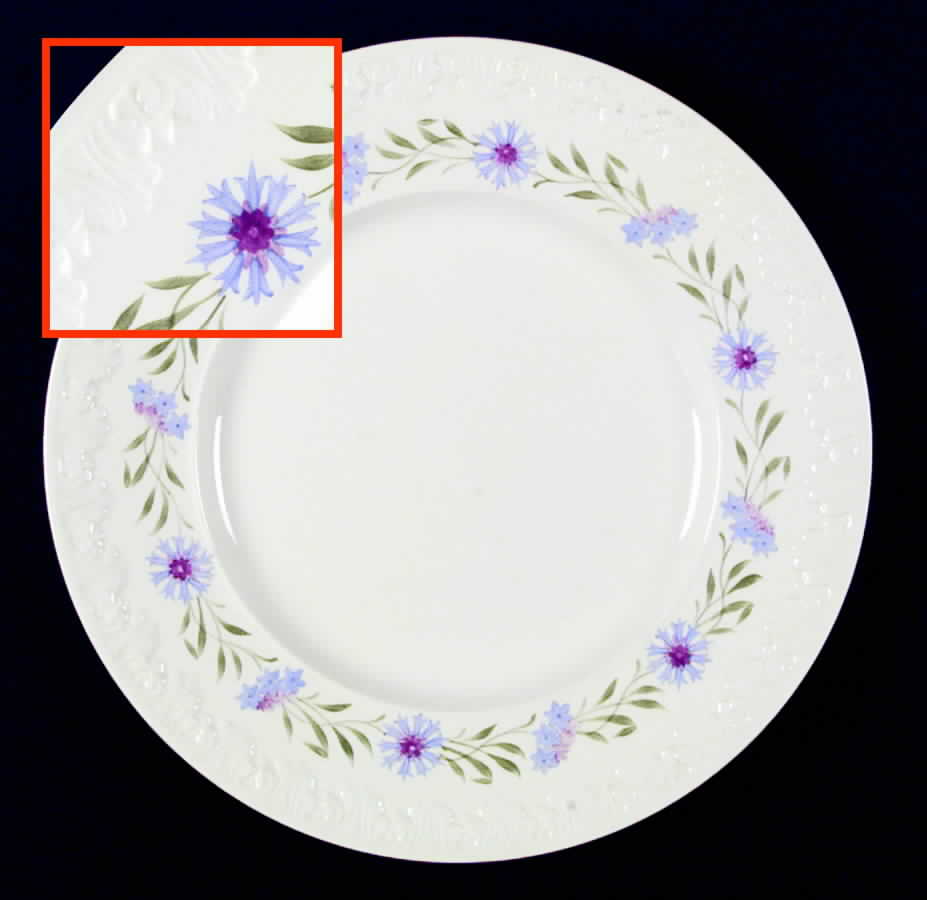 Summertime Dinner Plate by Wedgwood-1