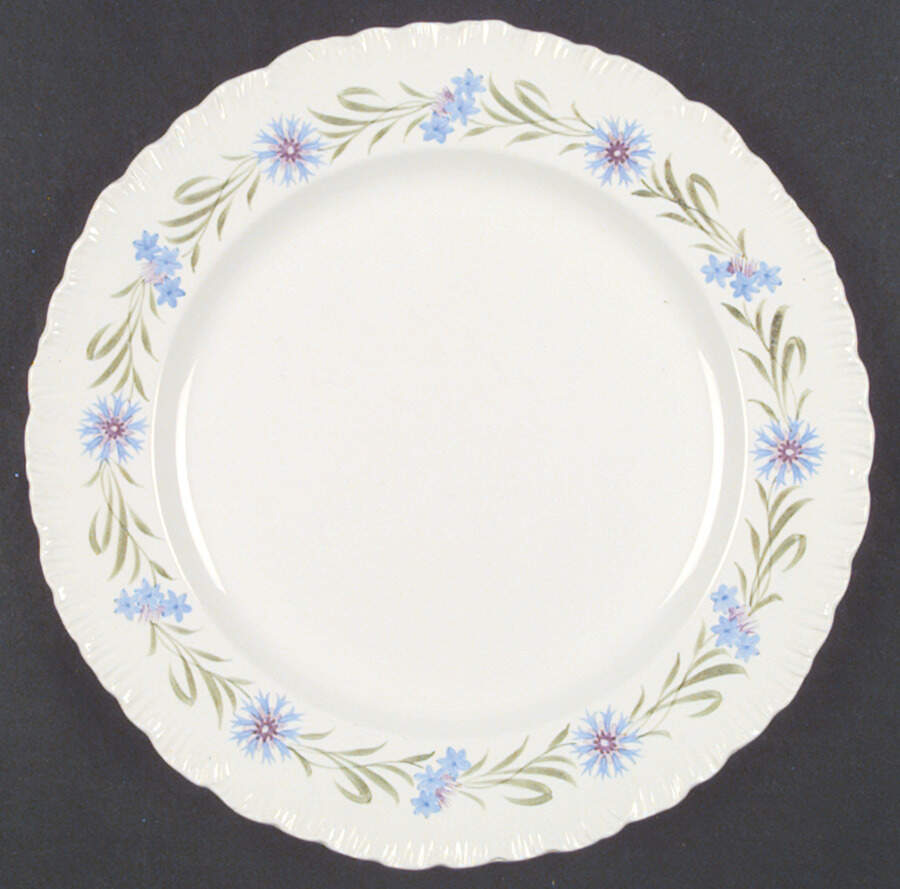 TM235 Dinner Plate by Wedgwood-1