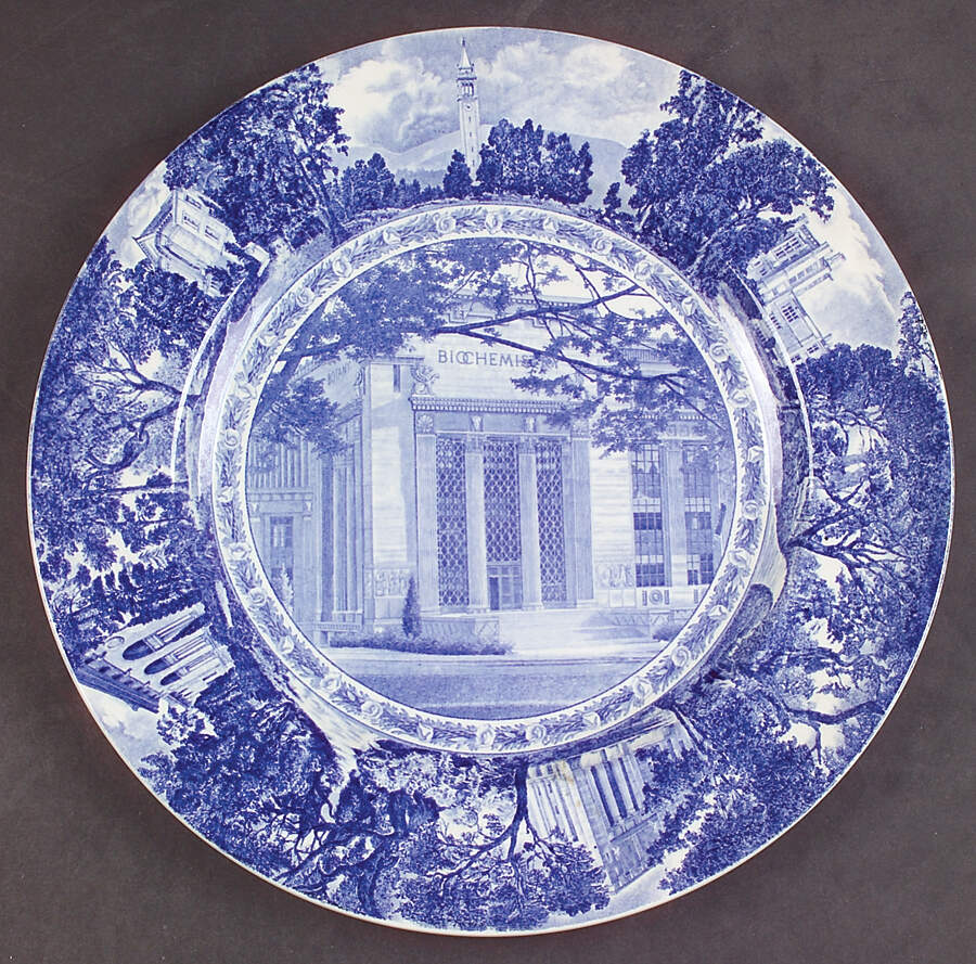 University of California Blue Dinner Plate by Wedgwood-1