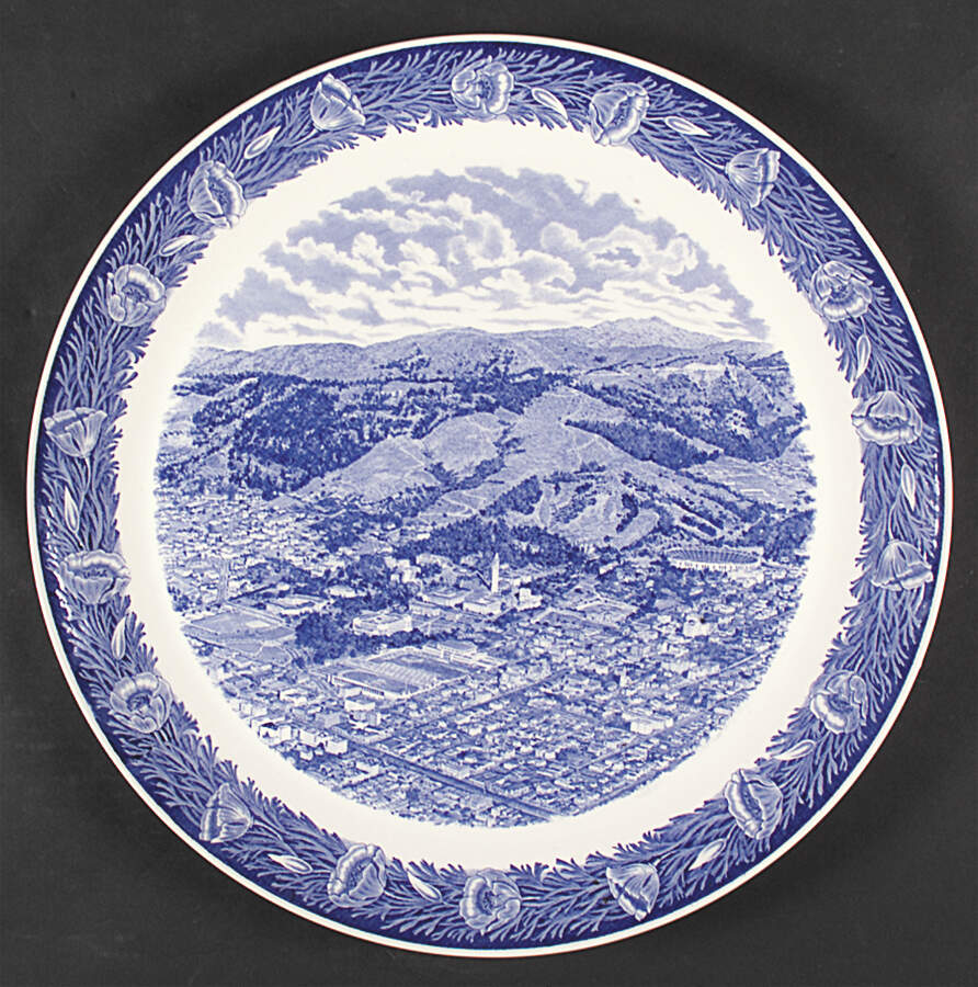 University of California Blue 16" Round Torte Plate by Wedgwood-2