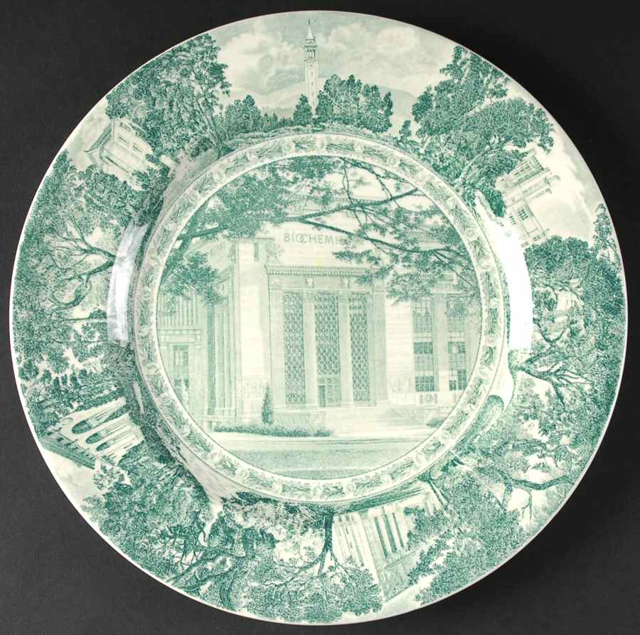 University of California Green Dinner Plate by Wedgwood-1