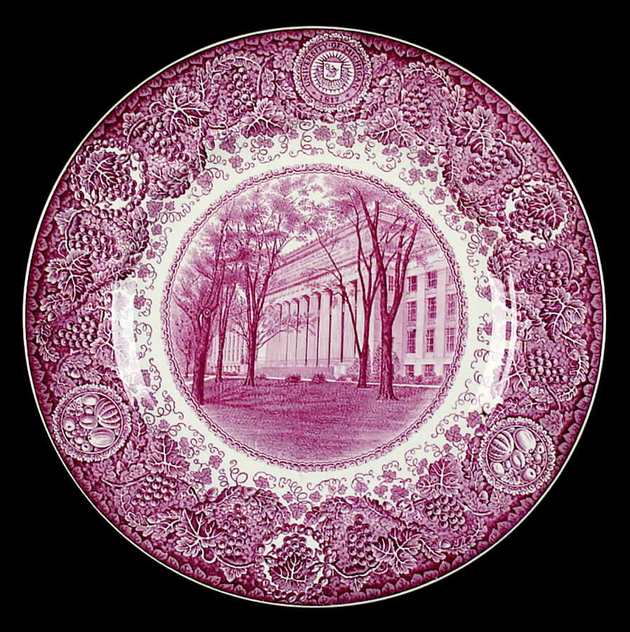University of Michigan Mulberry Dinner Plate by Wedgwood-1