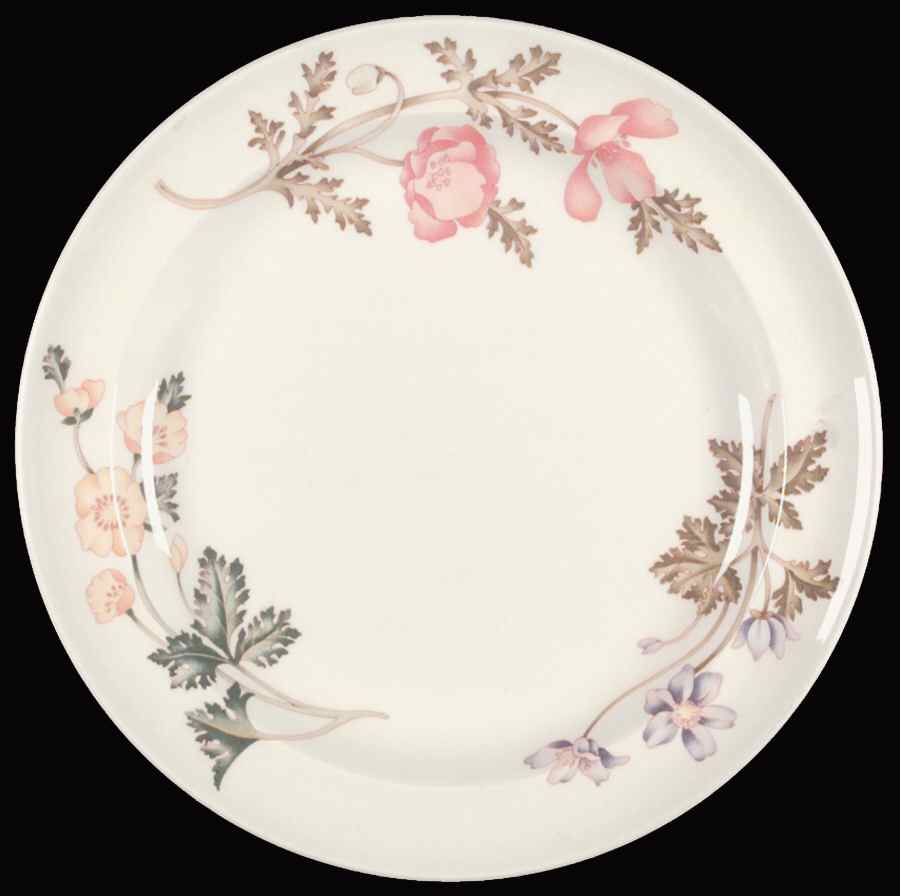 Virginia Dinner Plate by Wedgwood-1