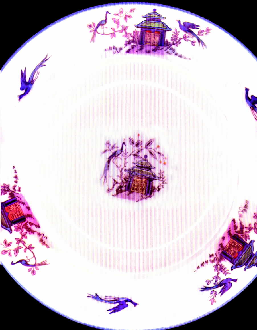 W298 Dinner Plate by Wedgwood-1