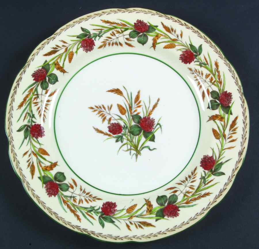 W3017 Dinner Plate by Wedgwood-1