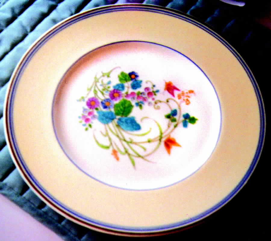 Montreal Dinner Plate by Wedgwood-1