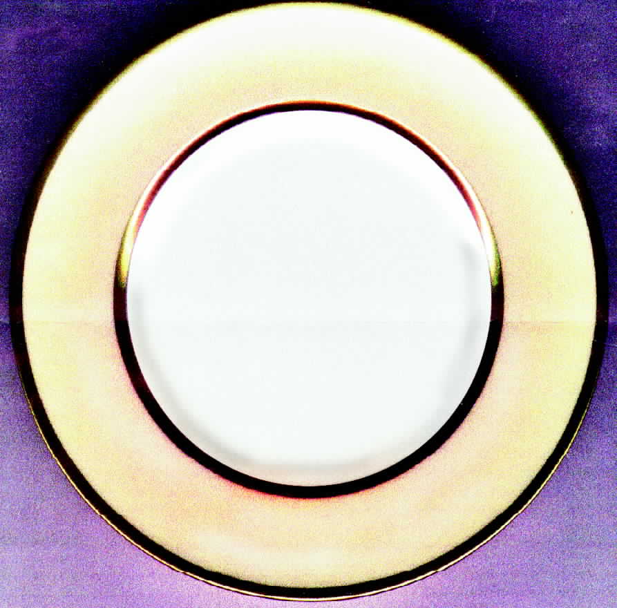 W4160 Dinner Plate by Wedgwood-1