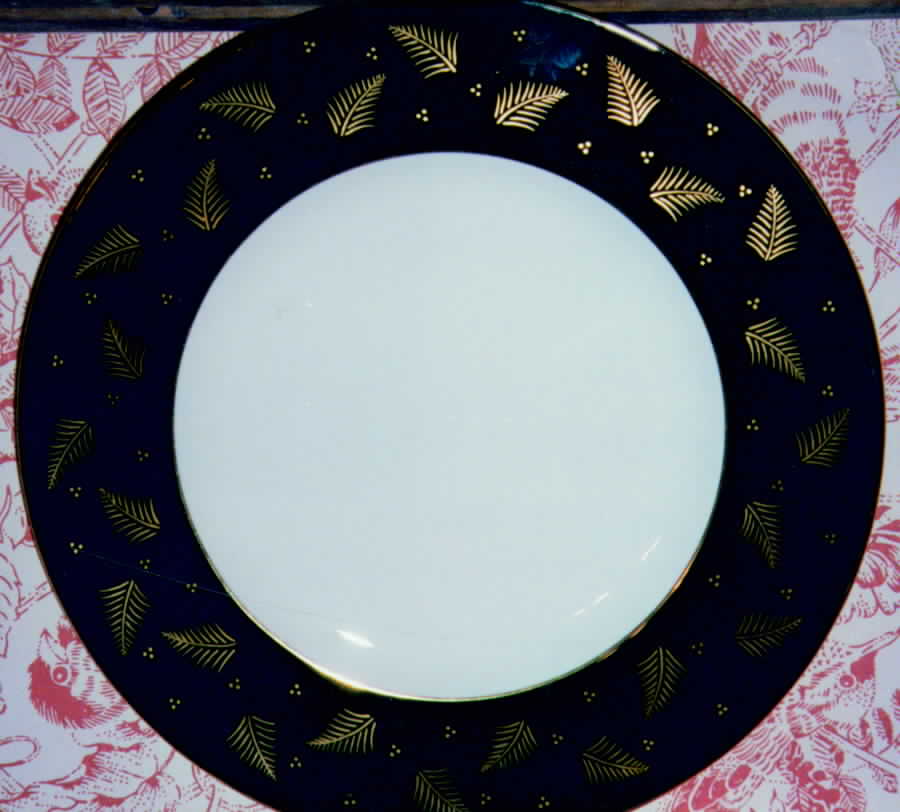 Windrush Green Salad Plate by Wedgwood-1