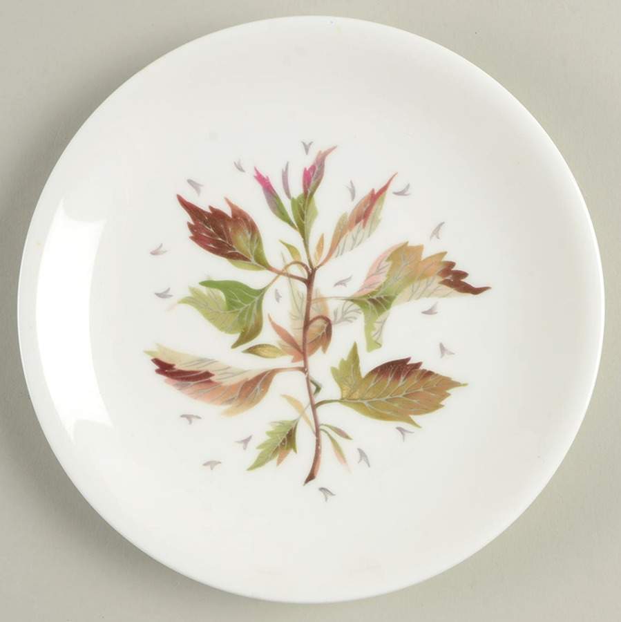 Wakefield (Bone, Coupe) Dessert/Pie Plate by Wedgwood-1