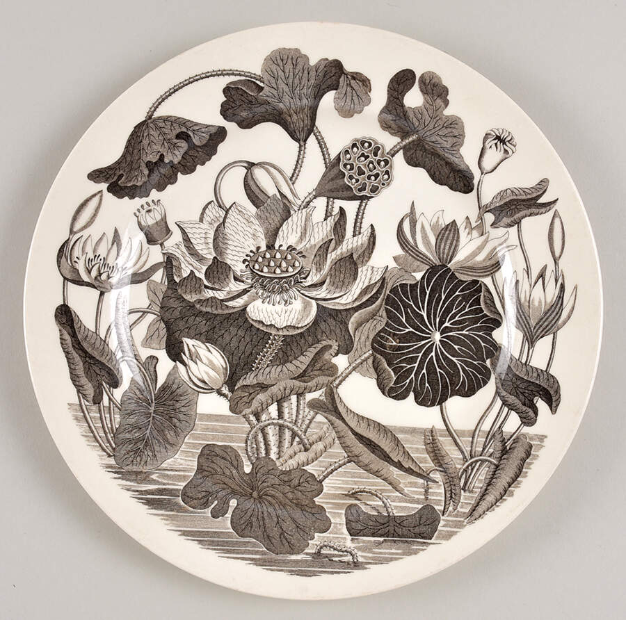 Water Lily Black Luncheon Plate by Wedgwood-1