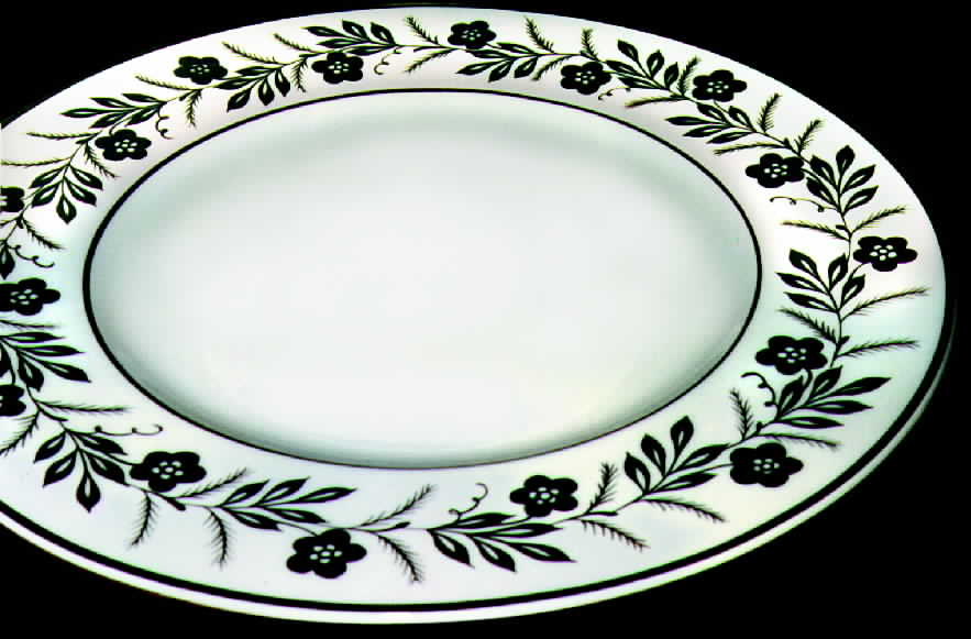 WH4090 Dinner Plate by Wedgwood-1
